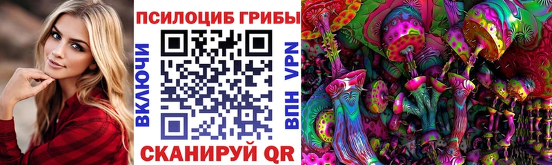 Псилоцибиновые грибы Psilocybe  это официальный сайт  Новохопёрск 